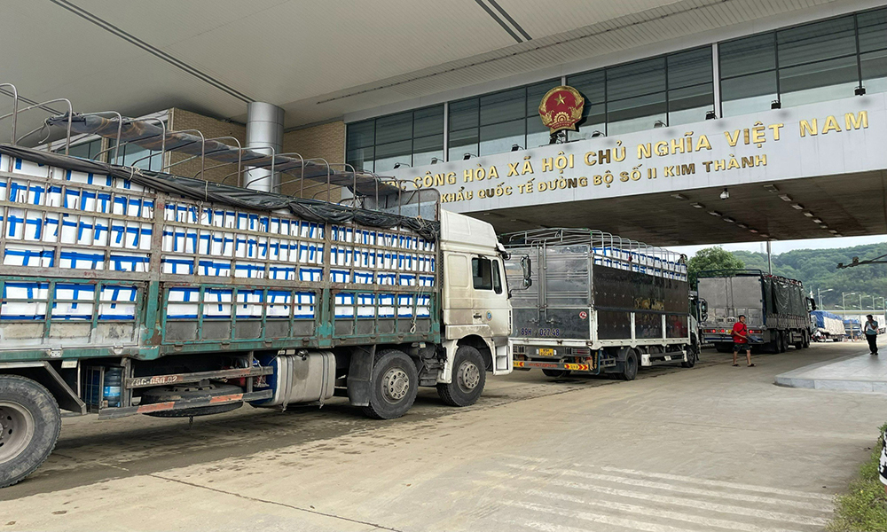 Thường trực Chính phủ thống nhất kéo dài thời hạn tạm ngưng hiệu lực của Nghị định 46 và Nghị quyết 66